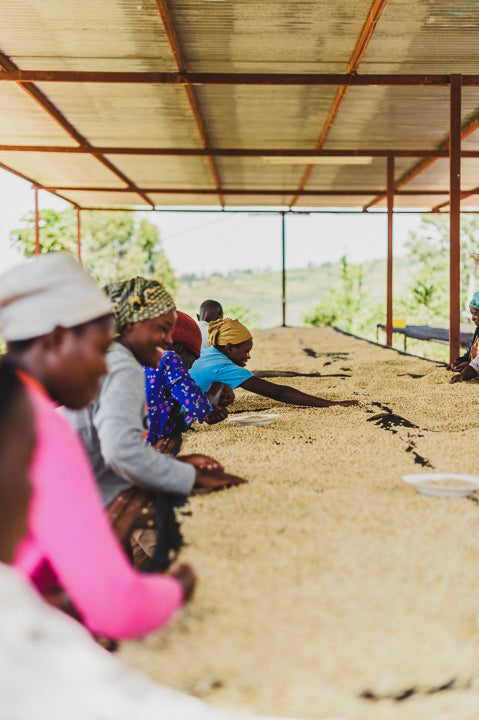 BULIZA ESTATE TOUR